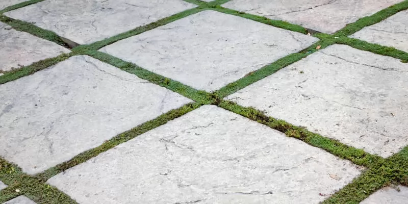 Top 10 Low-Maintenance Deck Materials